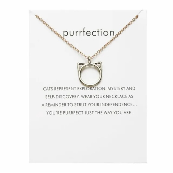 NEW Purrfection Necklace for Cat Lover - Picture 1 of 4